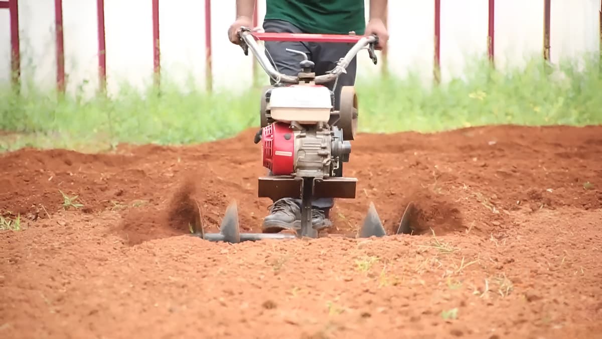 Inter Cultivation