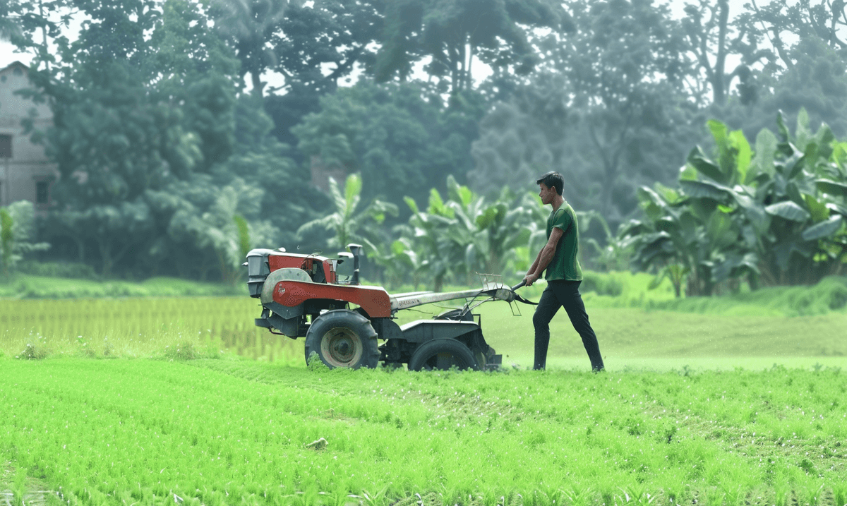Land Preparation